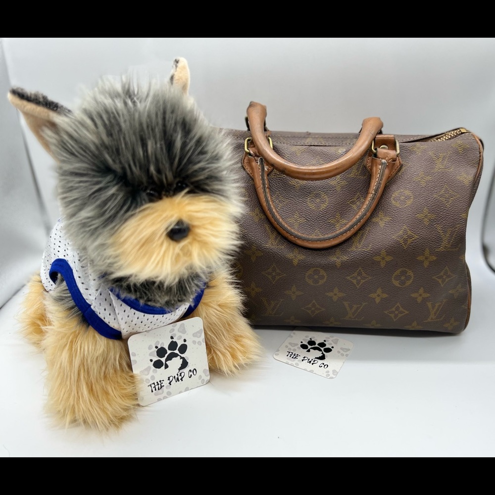 Louis Vuitton Bag